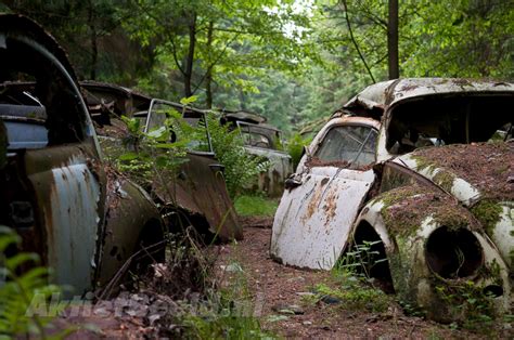 Forest Full Of Abandoned Cars Photos Image 11 Abc News