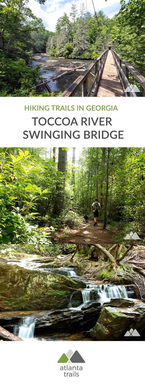 The Cover Of Hiking Trails In Georgia Tocco River Swinging Bridge