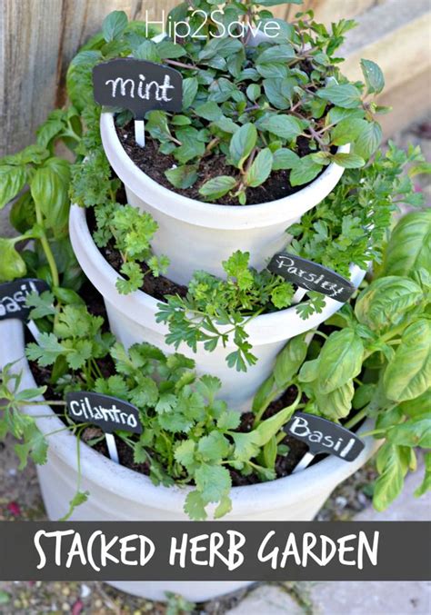 Build Your Own Herb Garden