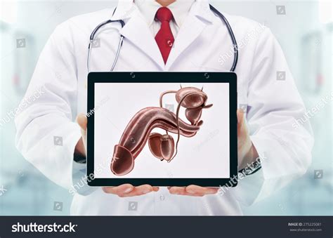 Doctor With Stethoscope In A Hospital Penis On The Tablet High