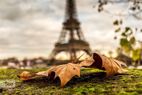 Fall In Paris Paris In Autumn Tour Eiffel Paris