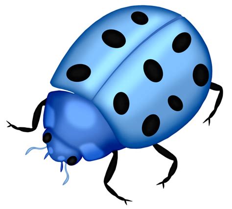 Jungle Clipart Bug Jungle Bug Transparent Free For Download On