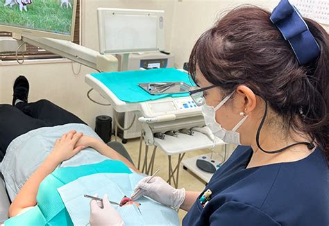 クリーニング｜日吉の歯医者「矢島歯科医院」舌トレーニングで口呼吸から鼻呼吸へ