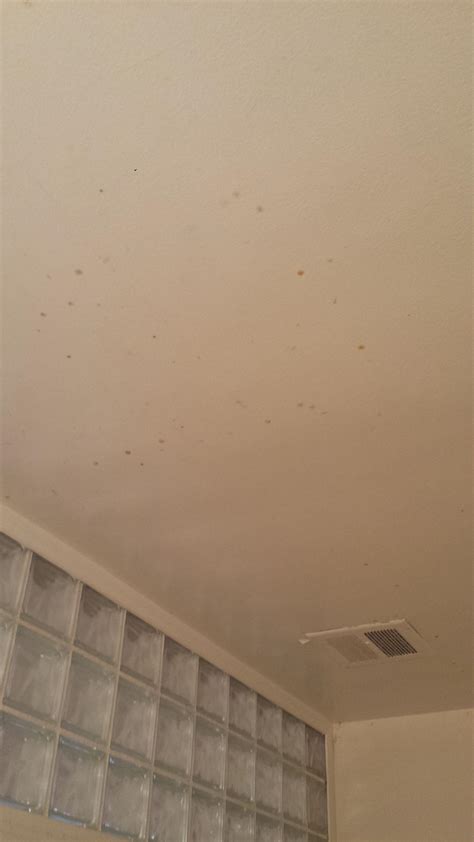 Black Mold In Ceiling Lannny