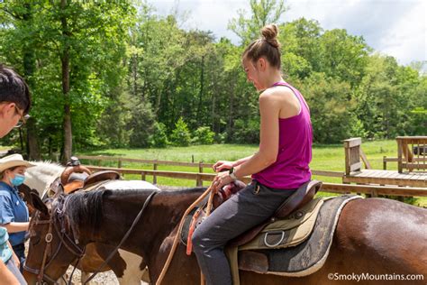 Cades Cove Horseback Riding And Stables Review And Photos