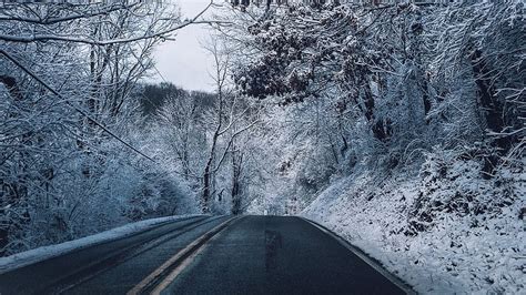 Winter Road Marking Trees Snow 2560x1440 Winter Hd Wallpaper Pxfuel