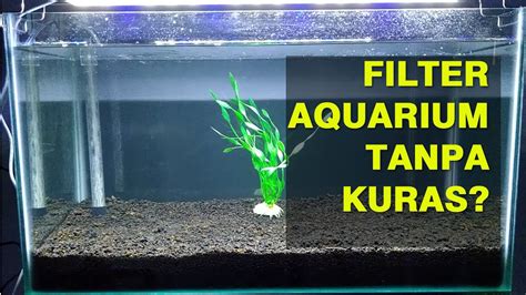Cara Memasang Filter Aquarium Yg Benar Aquarium Views