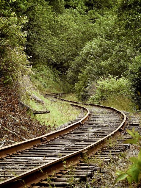 Train Tracks In 2020 Train Tracks Abandoned Train Railroad Tracks