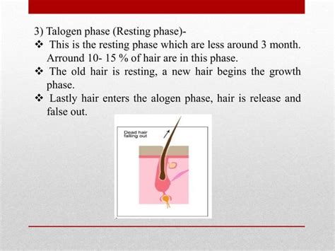 Structure Of Hair And Hair Growth Cycle Ppt