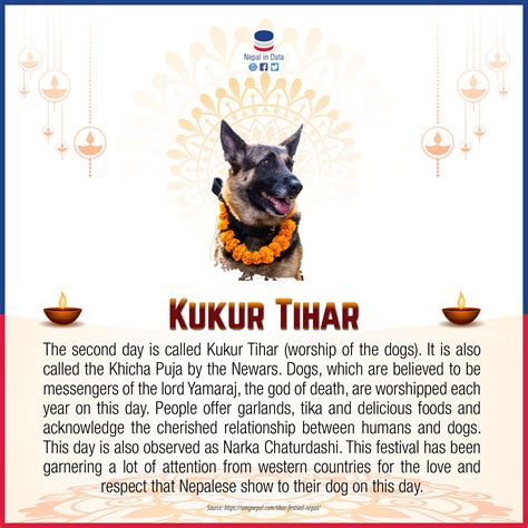 Kukur Tihar Tihar 2079 Infograph