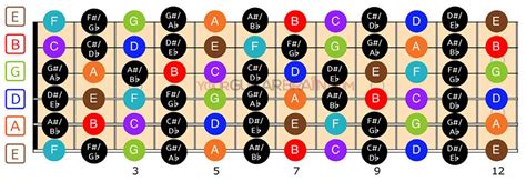 Guitar Fretboard Diagram 12 24 Fret Charts Your Guitar Brain