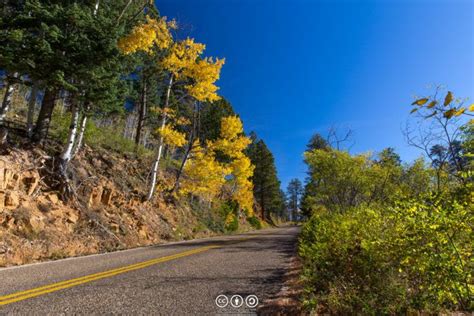 2 Grand Canyon North Rim State Route 67 Fall Scenic Drive Scenic