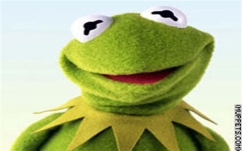 22 Stunning Kermit The Frog Memes Wallpapers Wallpaper Box