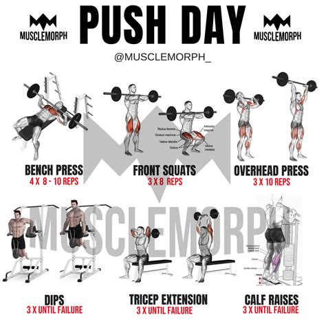 Push Day Bodybulding Fitness Workout Gym Muscle Musclemorphsuppscom