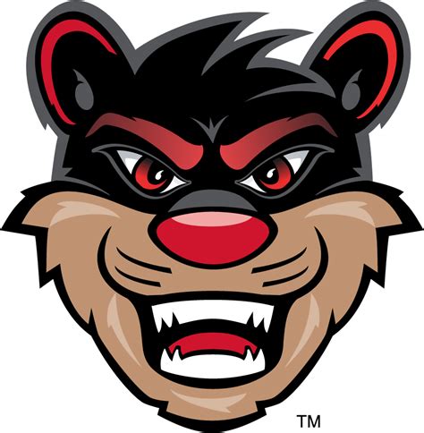 Cincinnati Bearcats Mascot Logo Ncaa Division I A C Ncaa A C