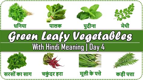Green Leafy Vegetables Hindi And English Names Vocabulary Practice