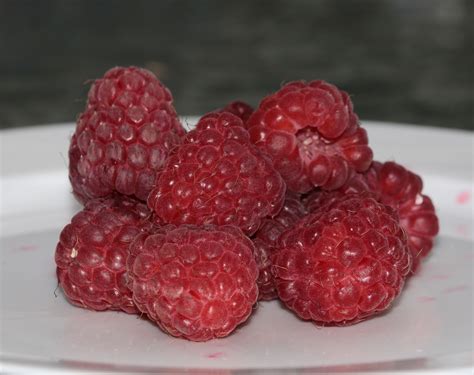 Free Images Plant Raspberry Berry Sweet Food Red Produce Eat