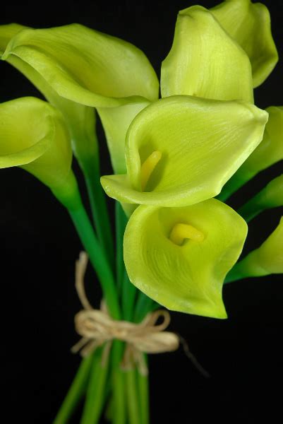 Natural Touch Hand Tied Green Calla Lily Wedding Bouquet