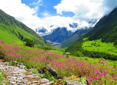 Valley Of Flowers National Park Uttarakhand India