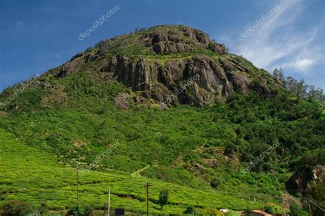 High Green Mountain Near Ooty Tamil Nadu India — Stock Photo