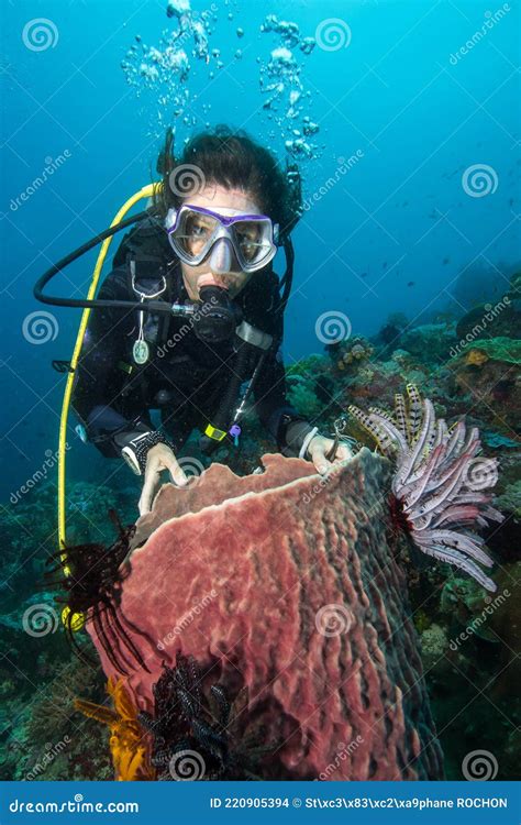 Woman Scuba Diving On A Tropical Reef Stock Photo Image Of Animal