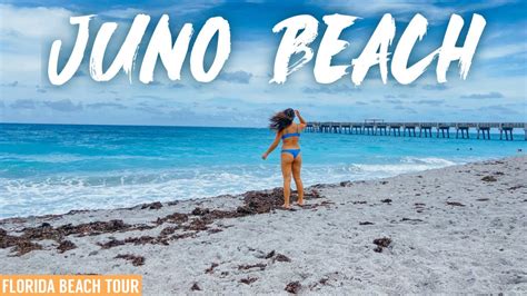 the caribbean of florida juno beach vlog florida beach tour ep 3 youtube