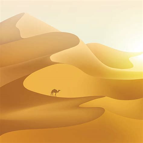 Clipart Sand Dunes 20 Free Cliparts Download Images On Clipground 2024