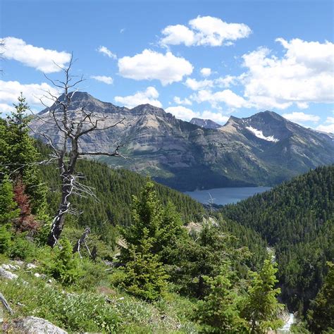 Bertha Lake Waterton Lakes National Park All You Need To Know