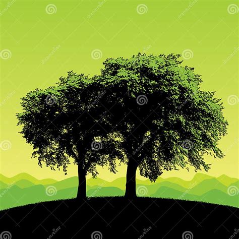 Trees Silhouetted On Hillside Stock Vector Illustration Of Silhouette
