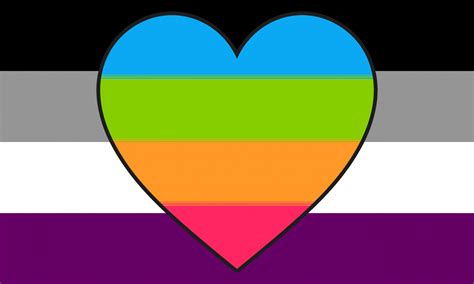 Asexual Panromantic Flag Official Store PN Asexual Flag
