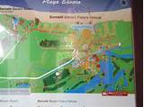 Images of Barcelo Bavaro Palace Resort Map