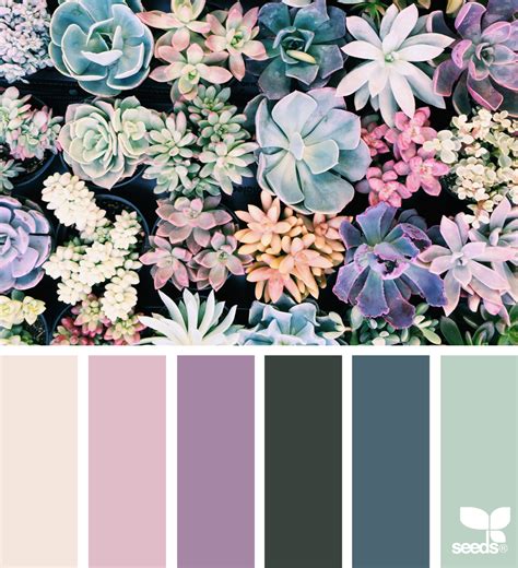 Succulent Hues | Design seeds, Color schemes, Colour schemes