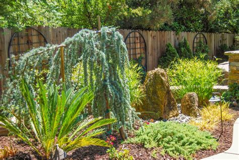 Roseville Front Yard Executive Care Inc