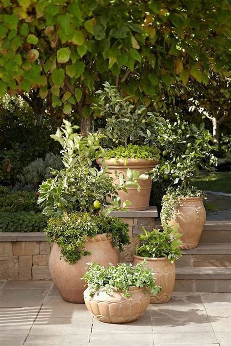 23 Best Tuscan Garden Ideas Fancydecors Garden Containers Tuscan