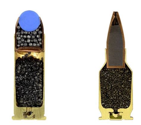 Beautiful Photos Of Bullet Cross Sections Ammo