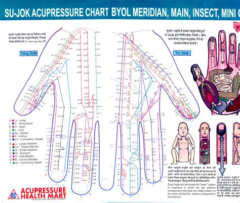 Chart For Acupressure Points