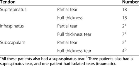 The Different Types Of Rotator Cuff Tears Download Table