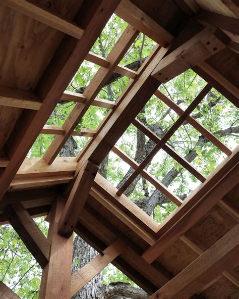 Skylight View Of The Canopy From Inside The Treehouse Custom Treehouse Building A Treehouse