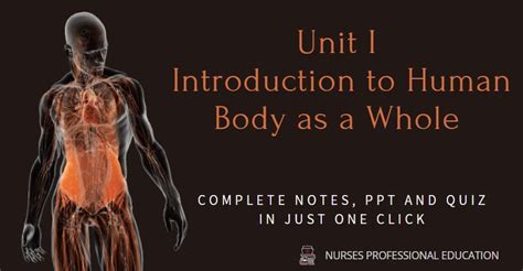 Unit 1 Introduction To Anatomy And Physiology Complete Guide