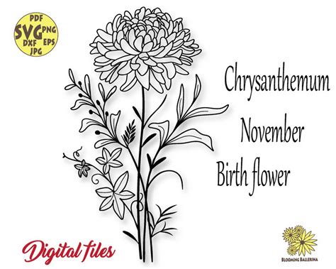 Chrysanthemum Svg November Birth Flower Svg Floral Zodiac Etsy In