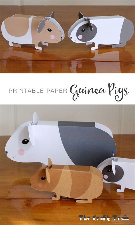 3d Guinea Pig Sewing Patterns Adanmallaidh