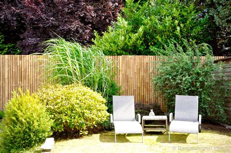 Some types of bamboos do screening better than others. Backyard Bamboo Privacy Screen - House Backyards