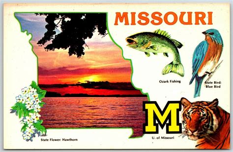 Missouri The Cave State Map Blue Bird Fish Tiger Postcard