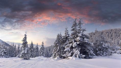 1920x1080 1920x1080 Hills Clouds Hills Forest Trees Winter