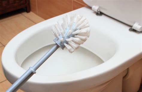 How To Unclog A Toilet With Poop In It 5 Proven Methods