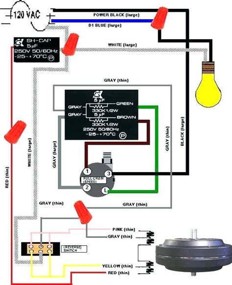 110 Wiring Diagram Two Ceiling Light