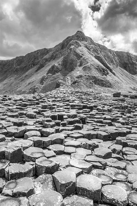 Giants Causeway In Northern Ireland Black And White Photograph By