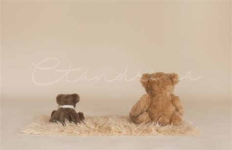 Pin On Sitter Session Digital Backdrops By Ctandrina