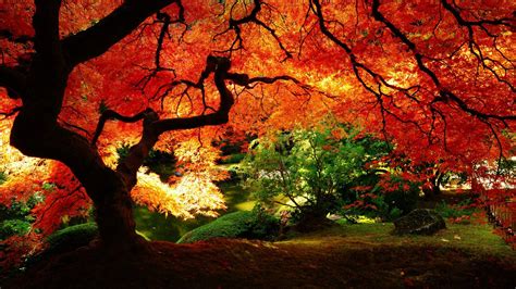 Japanese Gardens Wallpapers Wallpaper Cave