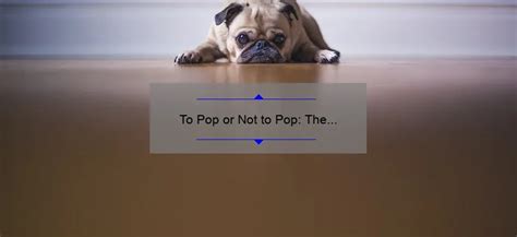 To Pop Or Not To Pop The Dilemma Of Dealing With Your Dogs Pimples